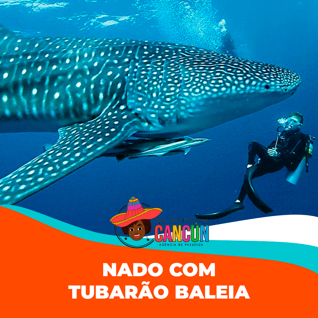 Prancheta 1 copiar 11