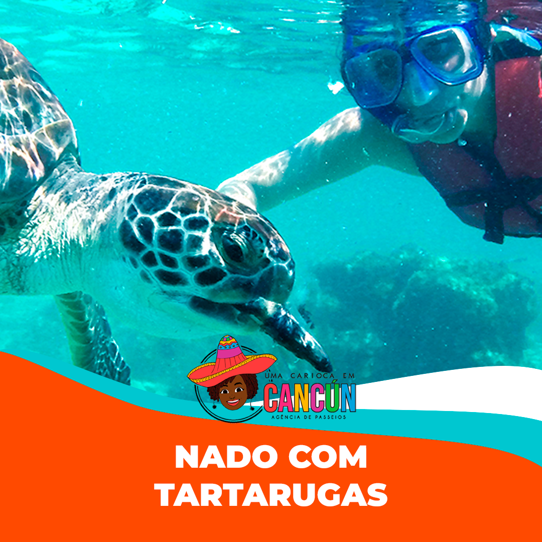 Prancheta 1 copiar 3